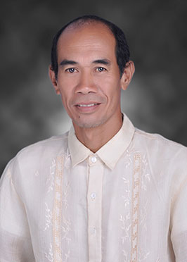 Mr. Elmer Malibiran image